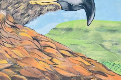 121260768 10221942057932844 3006439609177064291 n