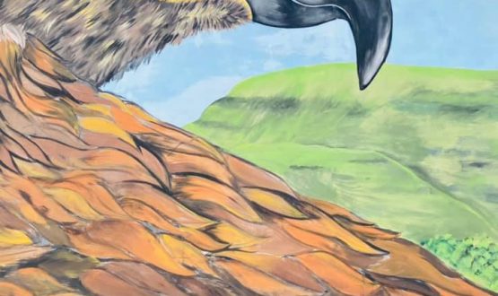 121260768 10221942057932844 3006439609177064291 n